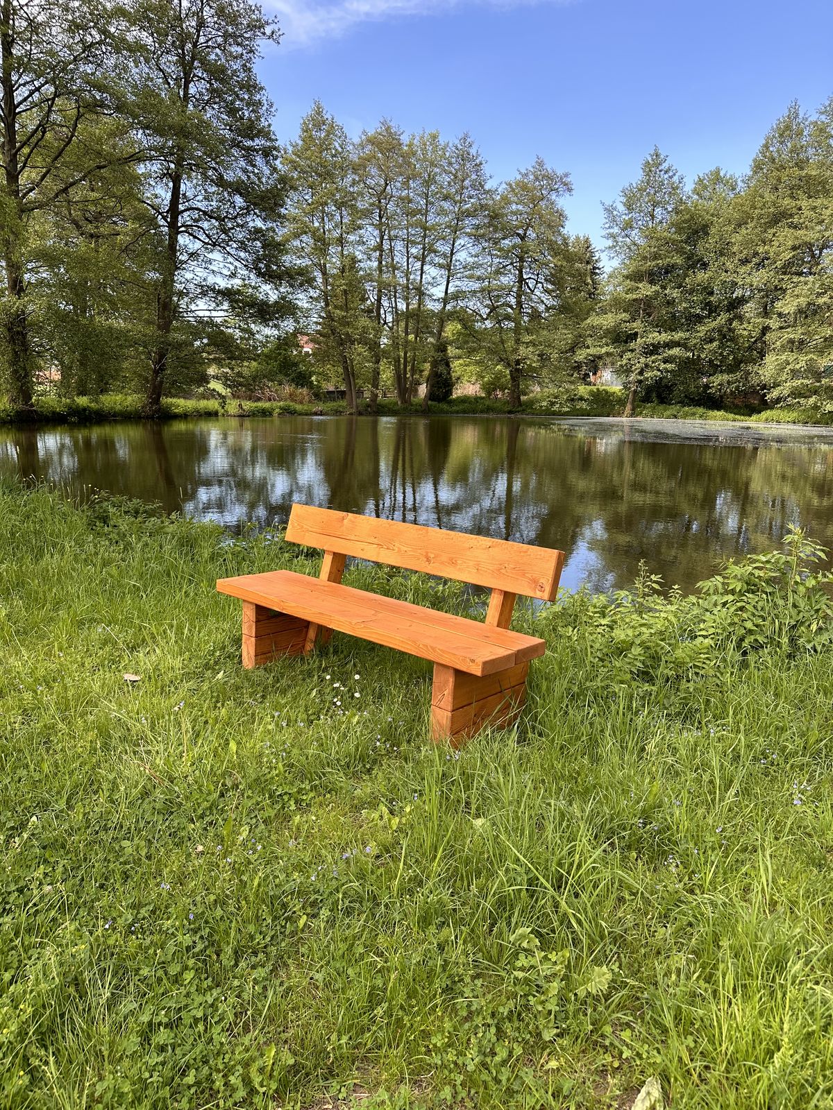 Bank in der Natur