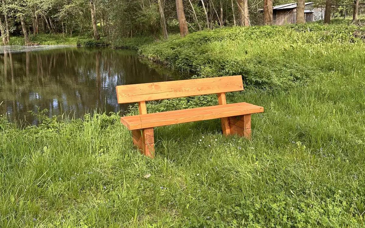 Die Massivholzbank am Teichufer, umgeben von Grün